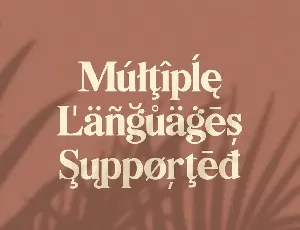 Bilingual Serif Font Duo