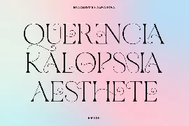 Bracesso - Stylish Display Serif font