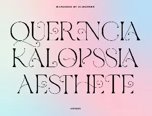 Bracesso - Stylish Display Serif font