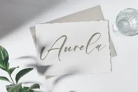 Amstera Script Font