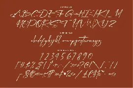 Dusty Peach Handwritten Signature Font