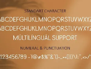 Sans Shiro font