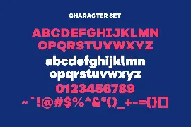 Bolgart Sans Serif Display Font