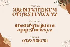 Beachfly â€“ Classy Serif Typeface font