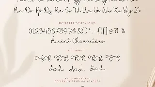 Saylora Script Font