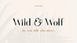 Gorgeous Serif Font