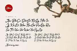 Akira - Zenbrush Script font