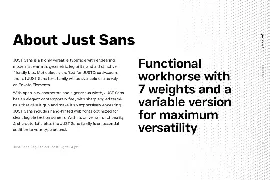 JUST SansÂ® Clean Modern Minimal Geometric Typeface font