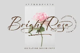 Bright Rose Signature Brush Font