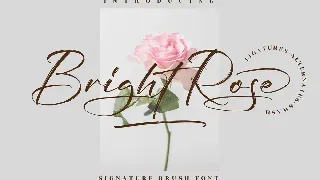 Bright Rose Signature Brush Font