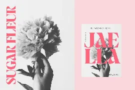 Jaella - Decorative Retro Serif font