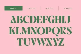 Jaella - Decorative Retro Serif font