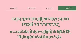 Jaella - Decorative Retro Serif font