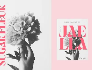 Jaella - Decorative Retro Serif font