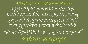 Torino Display Italic font