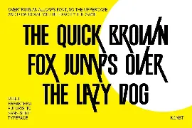 Overtru - Experimental Sans Serif Fonts