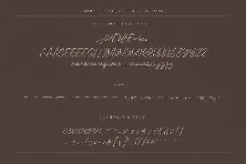 Dorothy Handwritten Script font