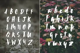 Wildflower Font