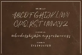 Bayleigh â€“ Stylish Signature Font