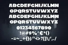 C800 Rough - Bold Sans Serif font