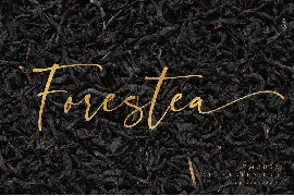 Forestea - Classy Script font