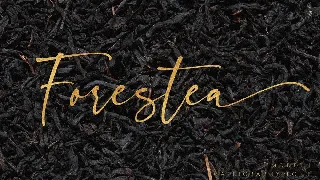 Forestea - Classy Script font