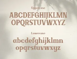 Brickson - Elegant Modern Serif font