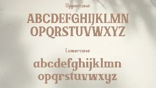 Brickson - Elegant Modern Serif font