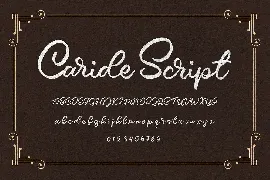 Vintage Script Font