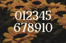 Oranges - Modern Retro Serif font