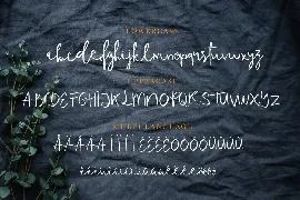 Tequilove font