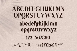 Themagic Serif Font + Bonus