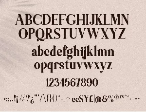 Themagic Serif Font + Bonus