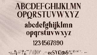 Themagic Serif Font + Bonus