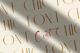 Chic Luxury Font Duo