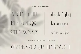 Chic Luxury Font Duo