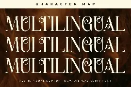 Holage New Display Serif Font