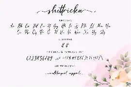 Shettricka - Modern Calligraphy font