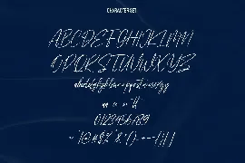 Destinys Font Signature Script Display Sans Serif