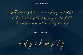 Destinys Font Signature Script Display Sans Serif