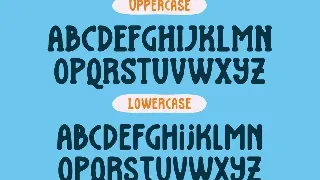 Brisk Kids Font