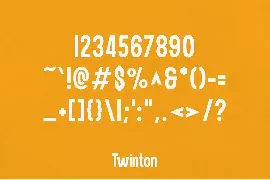 Twinton - Modern Sans font