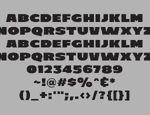 C800 Extended - Bold Sans Font