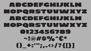 C800 Extended - Bold Sans Font