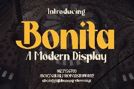 Bonita - A Modern Display font