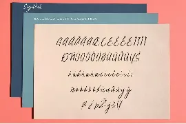 SignPink font