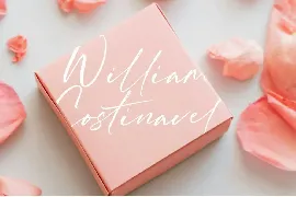 William Costinavel Script Font