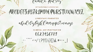 Camila Audrey font