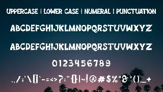 DOUBRUSH - Brush Font