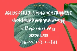 Lostmithy Script Display Font